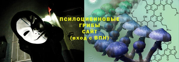 a pvp Вязьма
