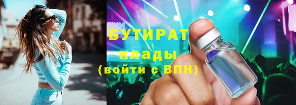 индика Вяземский