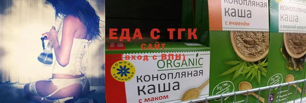 индика Вяземский
