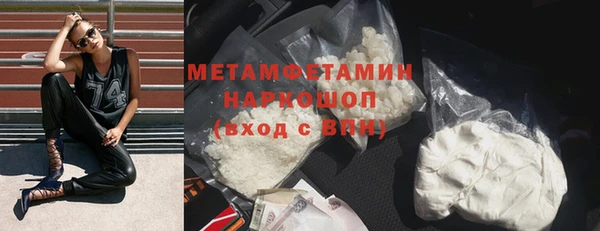 индика Вяземский