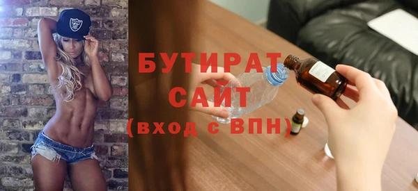индика Вяземский