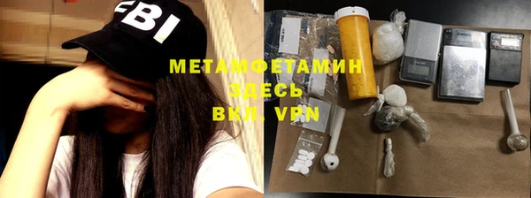 индика Вяземский