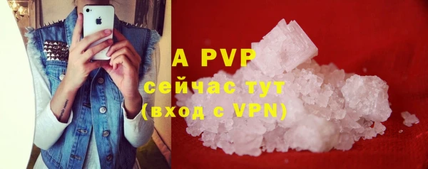индика Вяземский