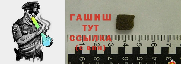 индика Вяземский