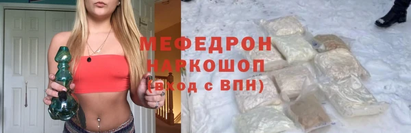индика Вяземский