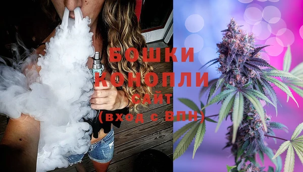 ПСИЛОЦИБИНОВЫЕ ГРИБЫ Вязники