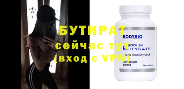 индика Вяземский