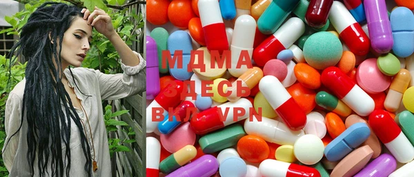 индика Вяземский
