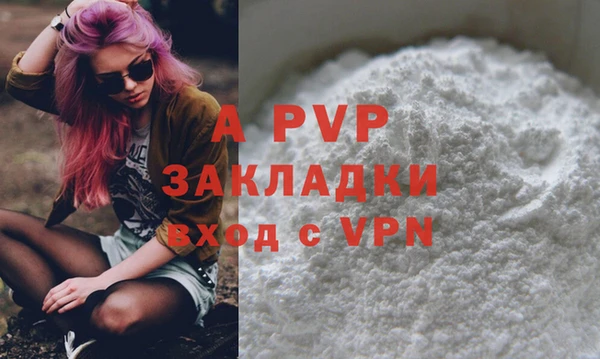 индика Вяземский
