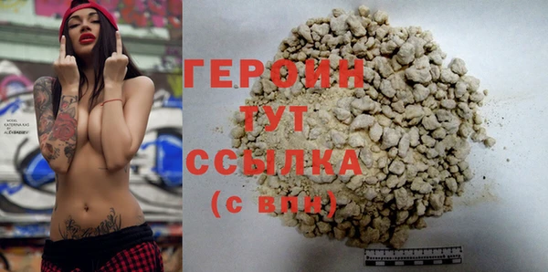 индика Вяземский