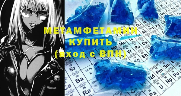 индика Вяземский