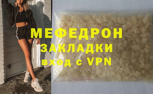 индика Вяземский