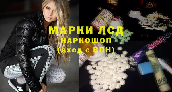 индика Вяземский