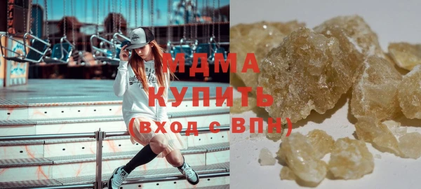 индика Вяземский