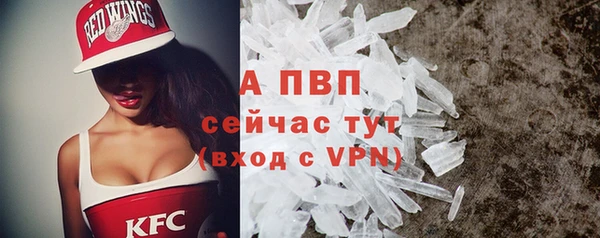 ПСИЛОЦИБИНОВЫЕ ГРИБЫ Вязники