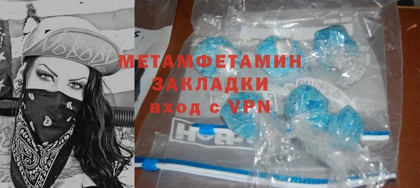 индика Вяземский
