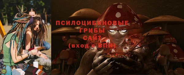 ПСИЛОЦИБИНОВЫЕ ГРИБЫ Вязники