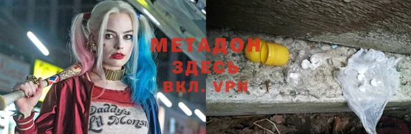 индика Вяземский