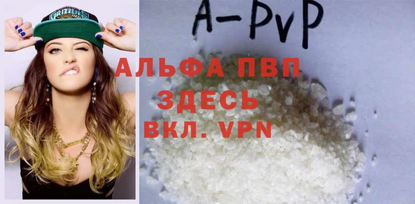 индика Вяземский