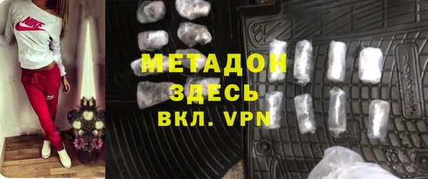 индика Вяземский