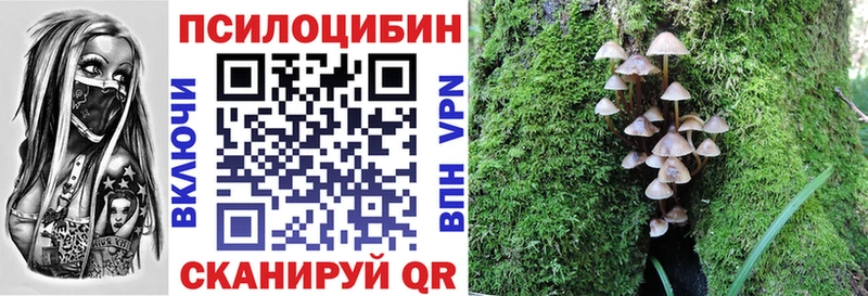 купить наркоту  ссылка на мегу как войти  Галлюциногенные грибы Magic Shrooms  Красноярск 