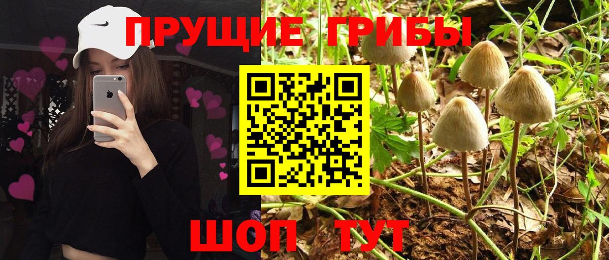 Галлюциногенные грибы мицелий  Вход с VPN  Псилоцибиновые грибы прущие грибы  Красноярск 